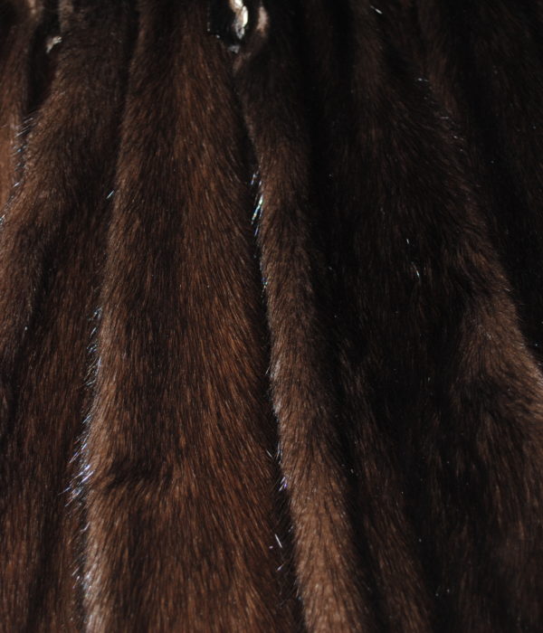 Норка коричневая самка